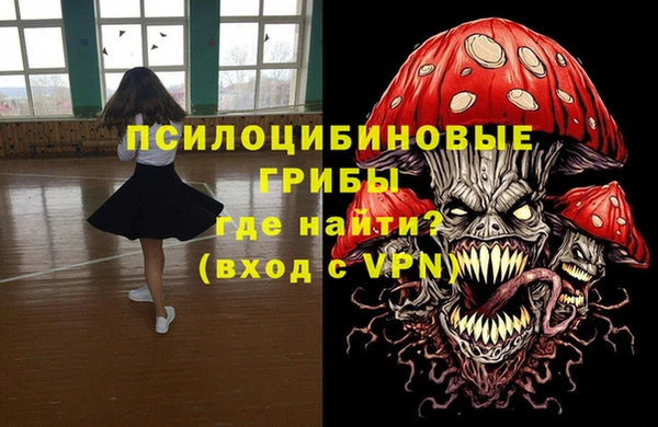 тгк Верея