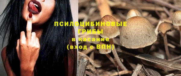герыч Верхний Тагил