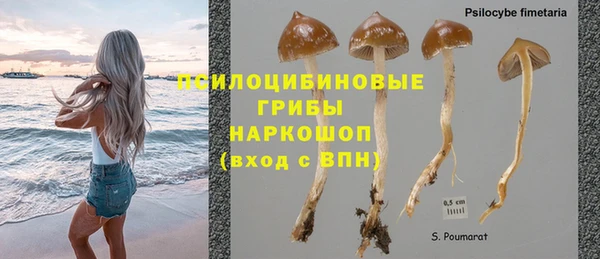 герыч Верхний Тагил