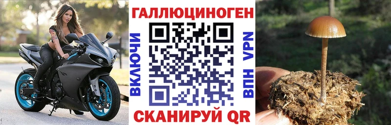 Псилоцибиновые грибы мухоморы  Купить закладки  Тавда 