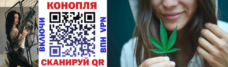 Каннабис Bruce Banner  Купить где  Тавда 
